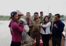 Ini Penjelasan Bendahara Kelompok Klaster Tambak Udang Vaname Dari KKP