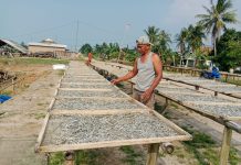 Pengolahan Ikan Teri Milik Ina Perhari Capai 1 Ton Lebih