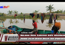 Nelayan Desa Labuhan Ratu Keluhkan Akses Jalan Rusak Belum Ada Perbaikan
