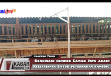 Realisasi Bumdes Damar Jaya Abadi Untuk Peternak Kambing