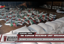 Ini Capaian Realisasi Unit Kegiatan Bumdes Mandiri Sejahtra Sribhawono 2025