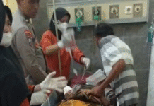 Alih- Alih Menghalau Gajah Liar, Kades Darusman Tewas Diserang